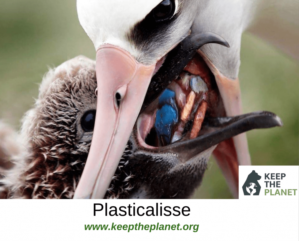 ridurre il consumo di plastica